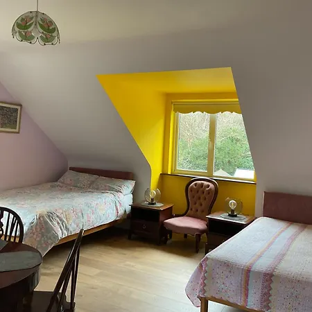 Victoria'S House Bed & Breakfast Kells  Exterior photo